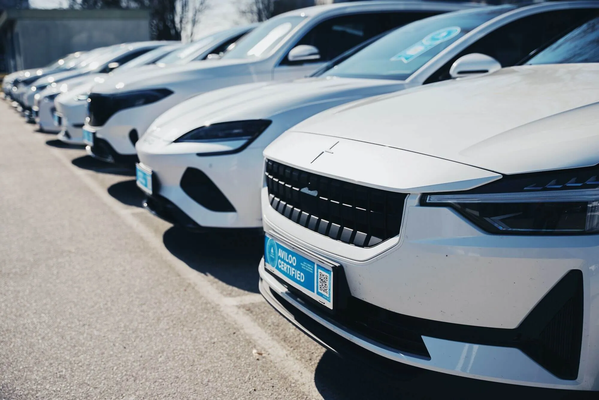 Certified fleet on dealer lot